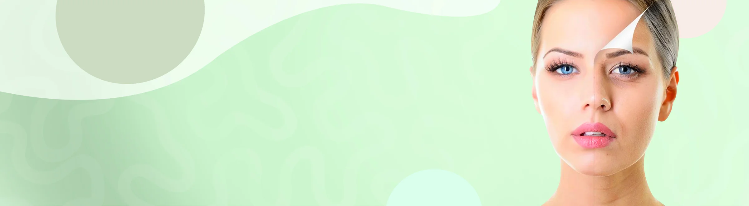 Master Your Vitality Today